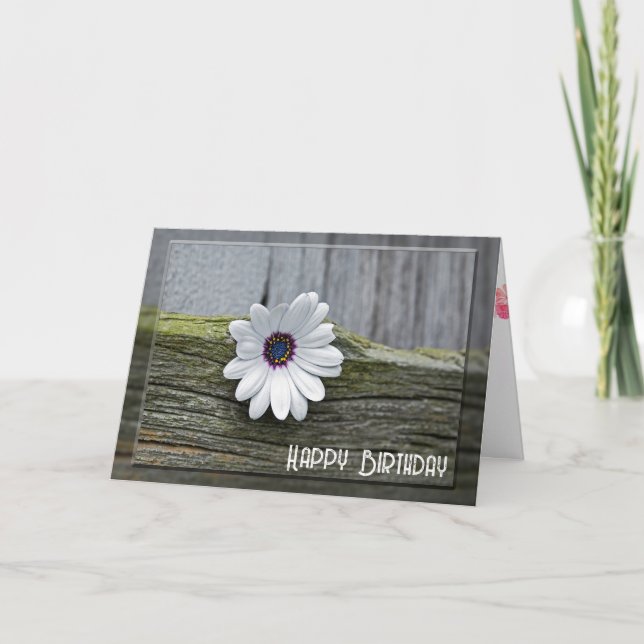 Tarjeta Daisy De Cumpleaños Blanco Sobre La Madera (Anverso)