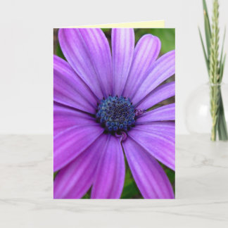 Tarjeta Daisy Flores salvajes Personalizado Tarjet
