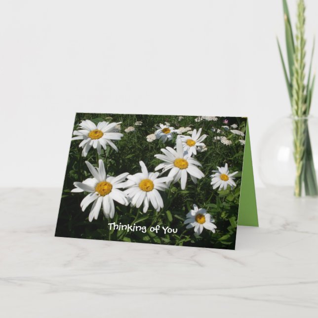 Tarjeta Daisy Happy Card (Anverso)