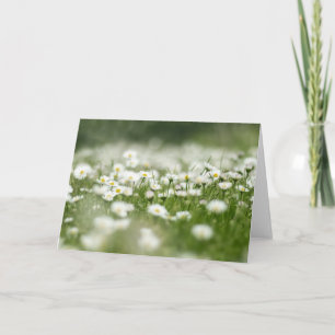 Tarjeta Daisy Meadow