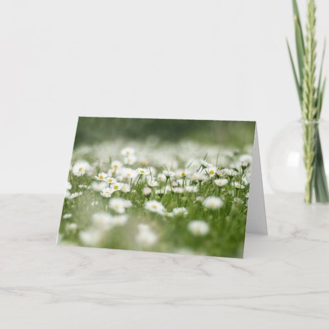 Tarjeta Daisy Meadow (Anverso)