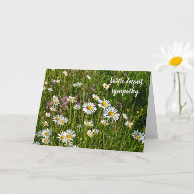Tarjeta Daisy Meadows - Con más sentido pésame (Planta pequeña)
