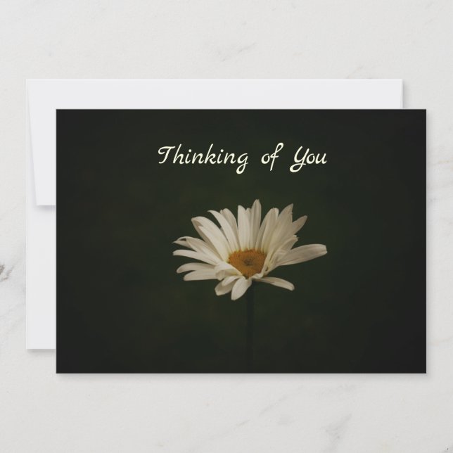 Tarjeta Daisy sobre fondo oscuro foto en blanco (Anverso)