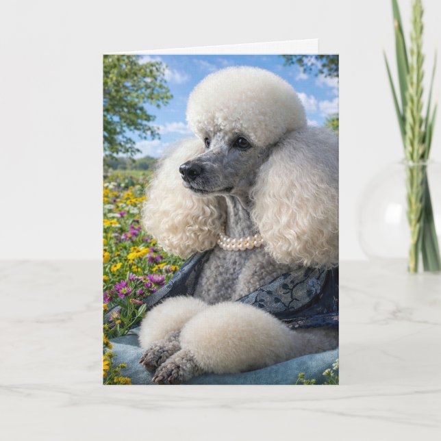 Tarjeta Daisy The Poodle Blank Card (Anverso)