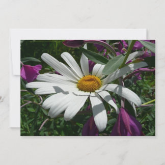 Tarjeta Daisy y Chamerion Wildflower
