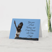 Dale a tus alas del corazón fotos de Hawk con cola