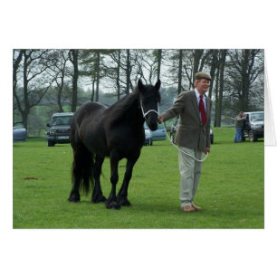 Tarjeta Dales Pony