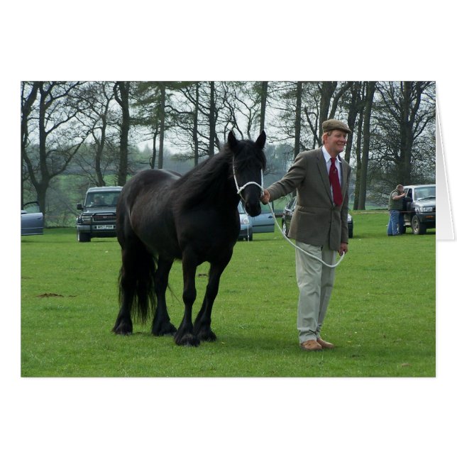 Tarjeta Dales Pony (Anverso (Horizontal))