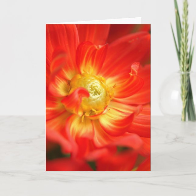Tarjeta dalia del rojo del fuego (Anverso)