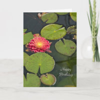 Dalia flotante