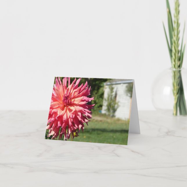 TARJETA "DALIA ROSADA GRANDE" NOTECARD (Anverso)