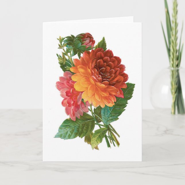 Tarjeta Dalias del vintage, (Anverso)