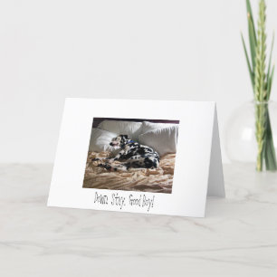 Tarjeta Dalmatian.  Abajo.  Estancia.  ¡Buen muchacho!