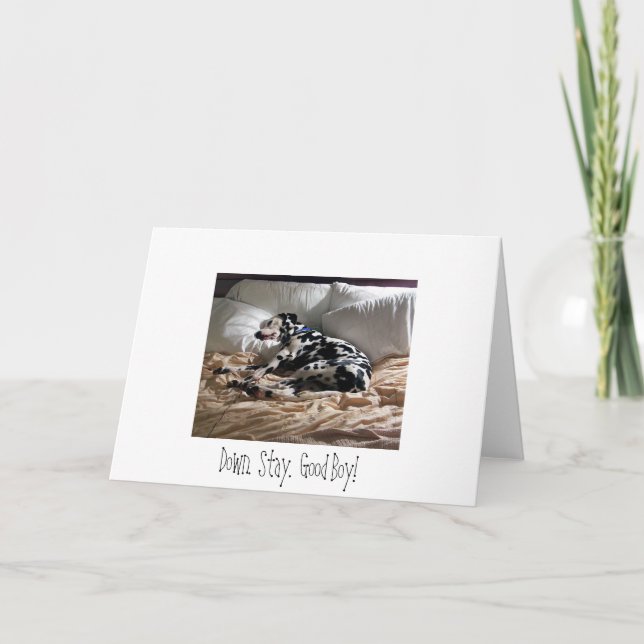 Tarjeta Dalmatian.  Abajo.  Estancia.  ¡Buen muchacho! (Anverso)