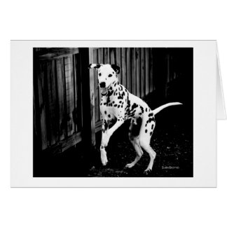 Tarjeta Dalmatiana de juego