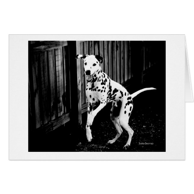 Tarjeta Dalmatiana de juego (Anverso (Horizontal))