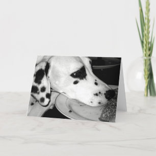 Tarjeta Dalmation precioso
