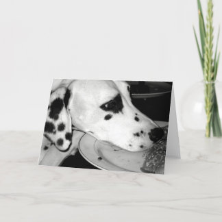 Tarjeta Dalmation precioso