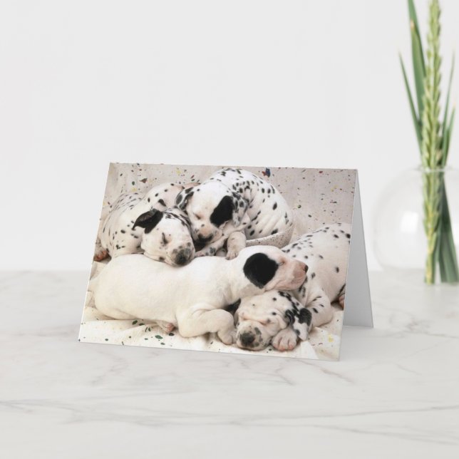 Tarjeta Dalmation_Puppies (Anverso)