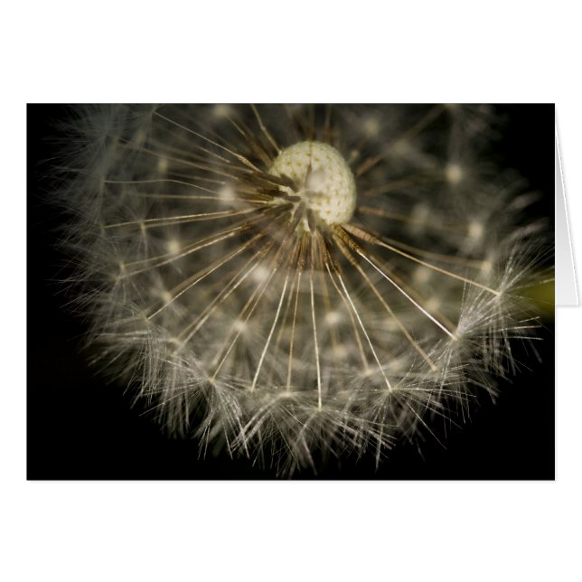 Tarjeta Dan D Lion (Anverso (Horizontal))