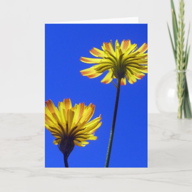 Tarjeta Dandelion amarillo, cielo azul, naturaleza feliz y (Anverso)