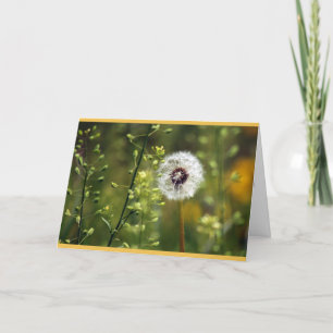 Tarjeta Dandelion Birthday Wishes