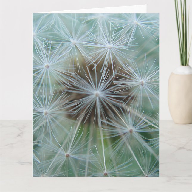 Tarjeta Dandelion blanco (Anverso)