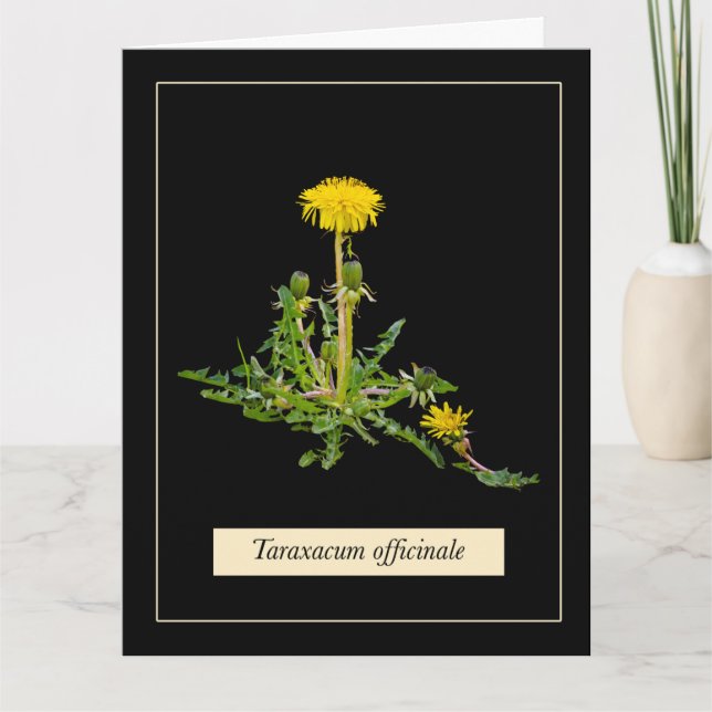 Tarjeta Dandelion botanical (Anverso)