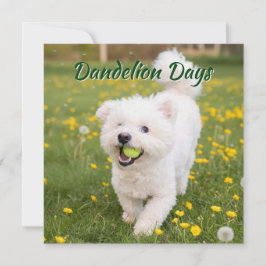 Tarjeta Dandelion Days