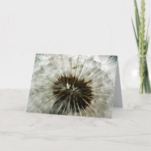 Tarjeta Dandelion Dreams
