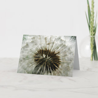 Tarjeta Dandelion Dreams