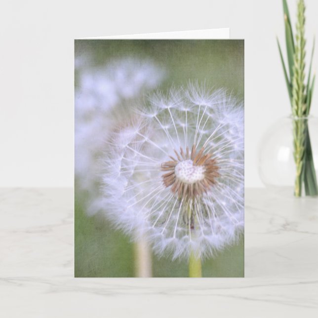 Tarjeta Dandelion Flowers (Anverso)