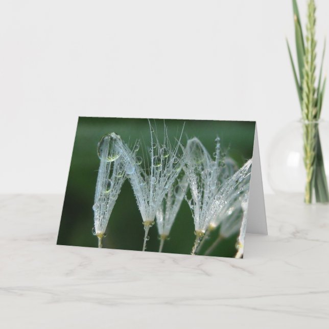 Tarjeta Dandelion juguetón con poesía de la naturaleza (Anverso)