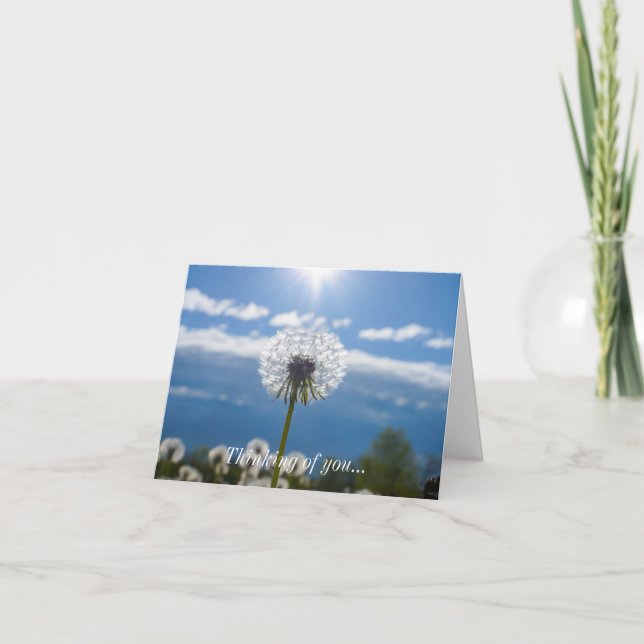 Tarjeta Dandelion Pensando En Ti (Anverso)