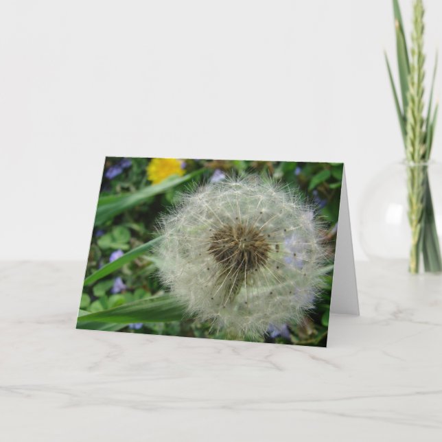 Tarjeta Dandelion Seeds (Anverso)