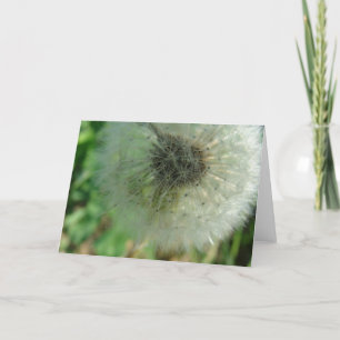 Tarjeta Dandelion Seeds