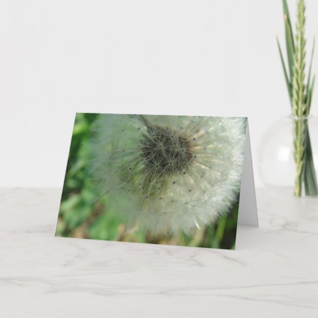 Tarjeta Dandelion Seeds (Anverso)