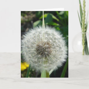 Tarjeta Dandelion Seeds