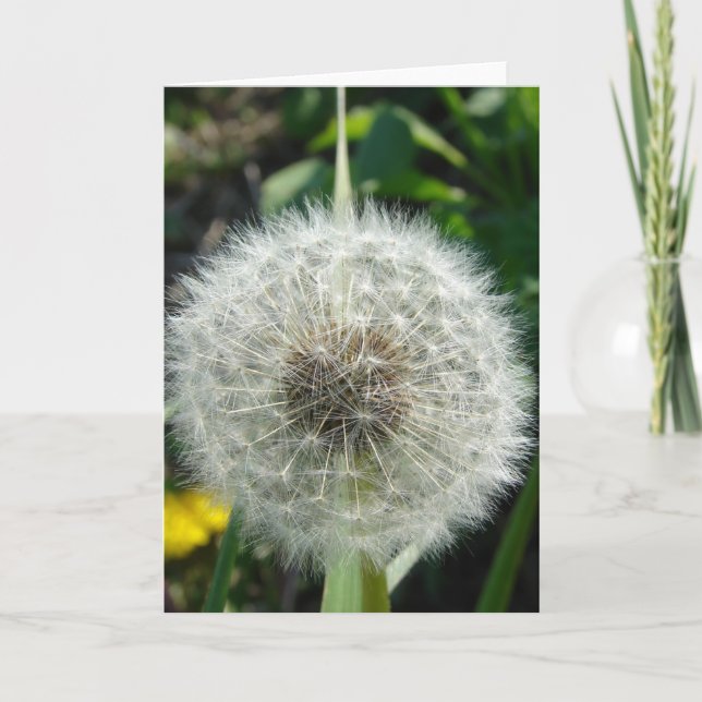 Tarjeta Dandelion Seeds (Anverso)