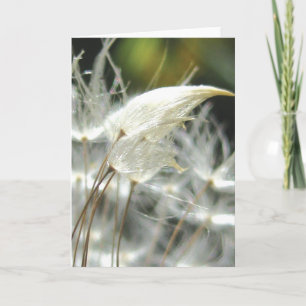 Tarjeta Dandelion toma abrazo, historias de poesía natural