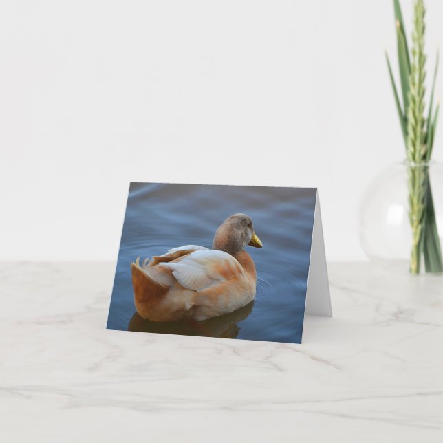 Tarjeta Dandy Duck Note Card (Anverso)