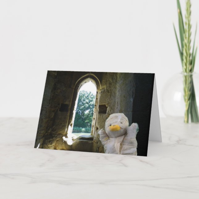 Tarjeta Danny Duck la momia carta en blanco (Anverso)