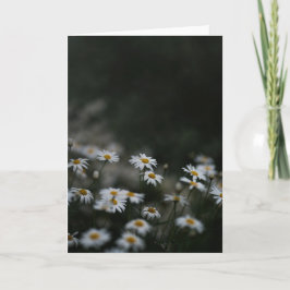 Tarjeta Dark and moody meadow, Sympathy
