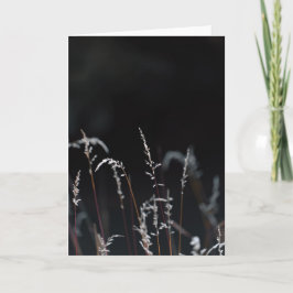 Tarjeta Dark and moody nature, Sympathy