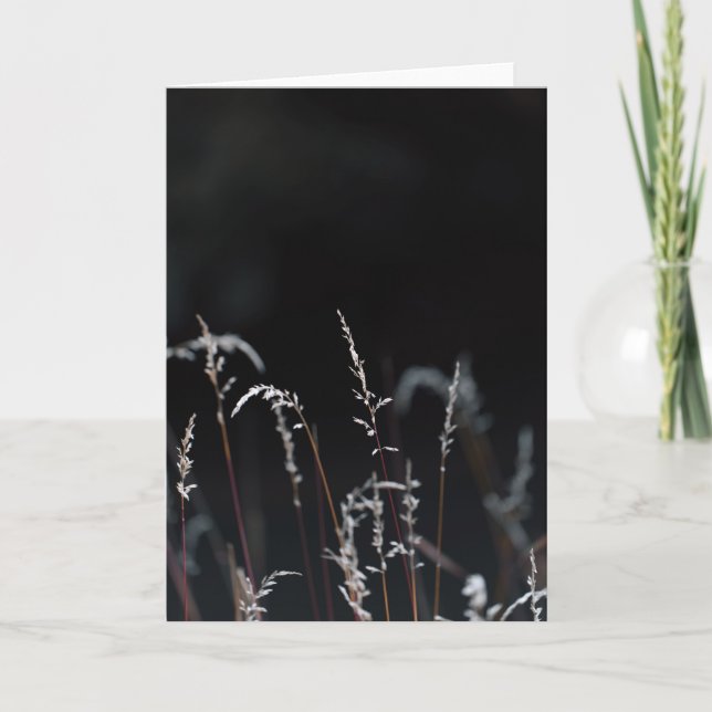 Tarjeta Dark and moody nature, Sympathy (Anverso)