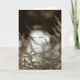 Tarjeta Dark brown and moody grass in wind, Sympathy