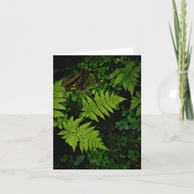 Tarjeta Dark green moody nature theme with ferns (Anverso)