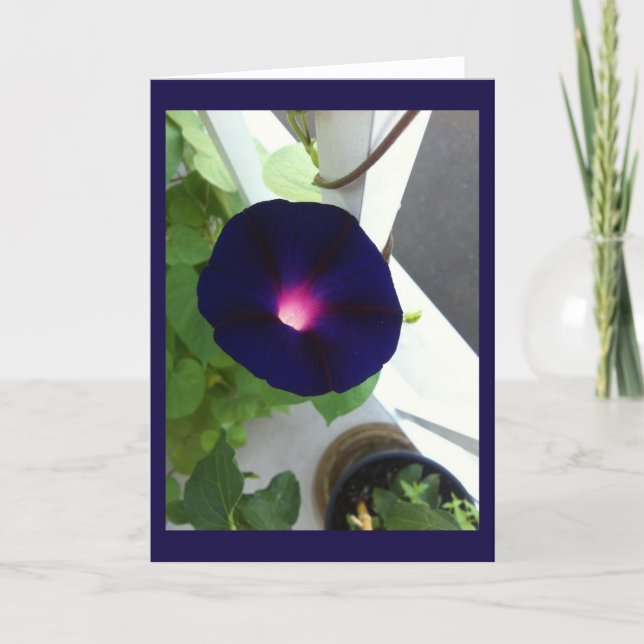 Tarjeta Dark Velvet Morning Glory Blank (Anverso)