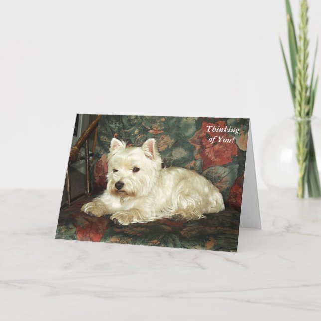Tarjeta Darling West Highland Terrier pensando en tu carta (Anverso)