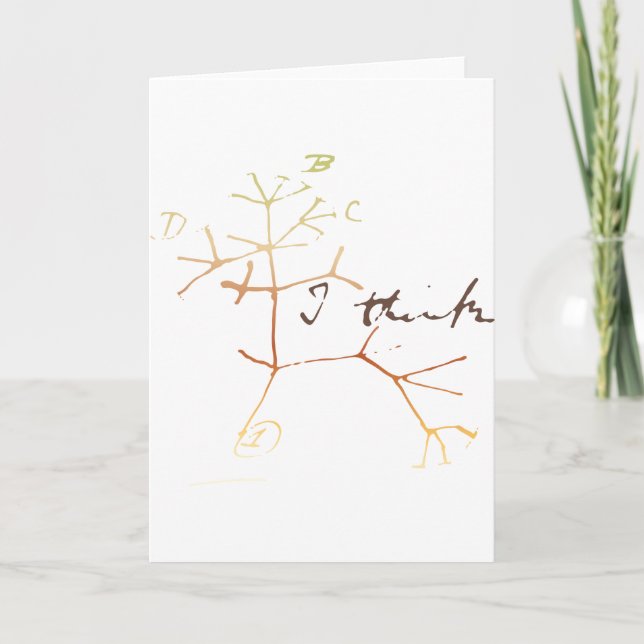 Tarjeta Darwin árbol de la vida: Creo (Anverso)